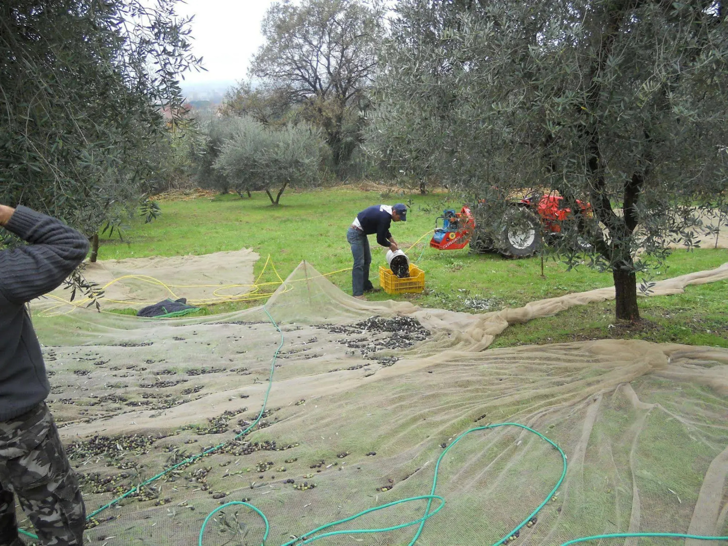 Collina Toscana Resort