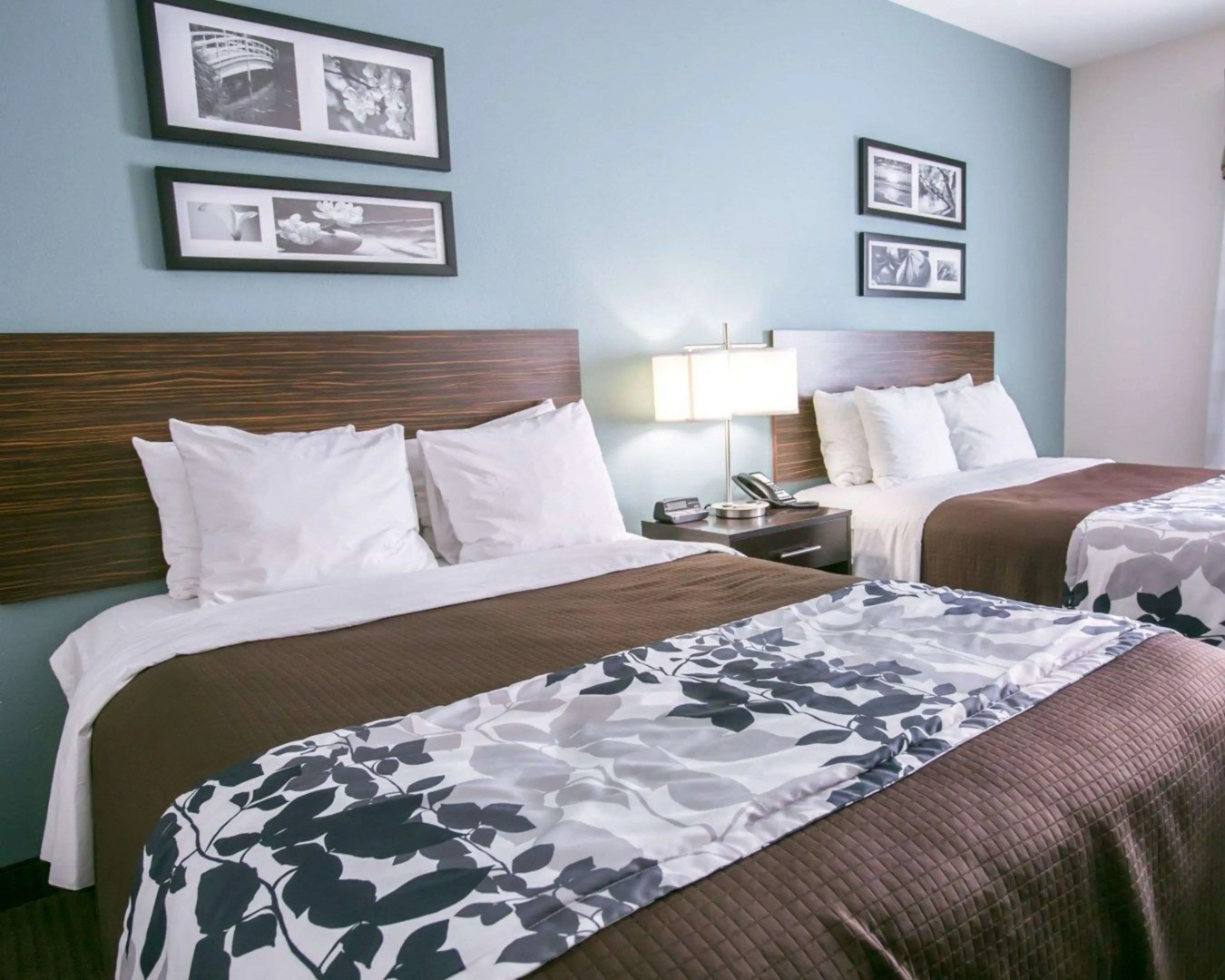 Sleep Inn & Suites Austin North I-35