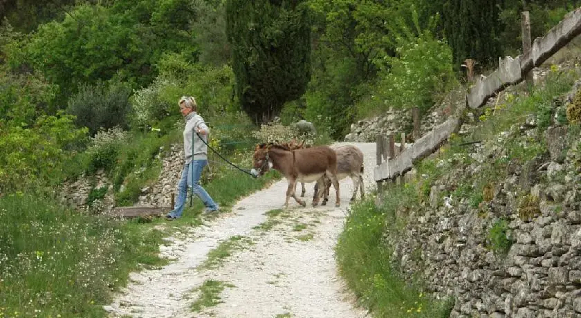 B&B Leon en Provence