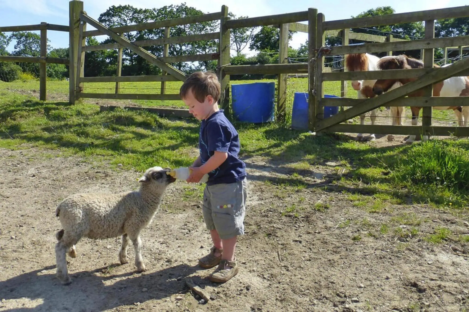 Manor Near Mont St. Michel and Contentin Beaches