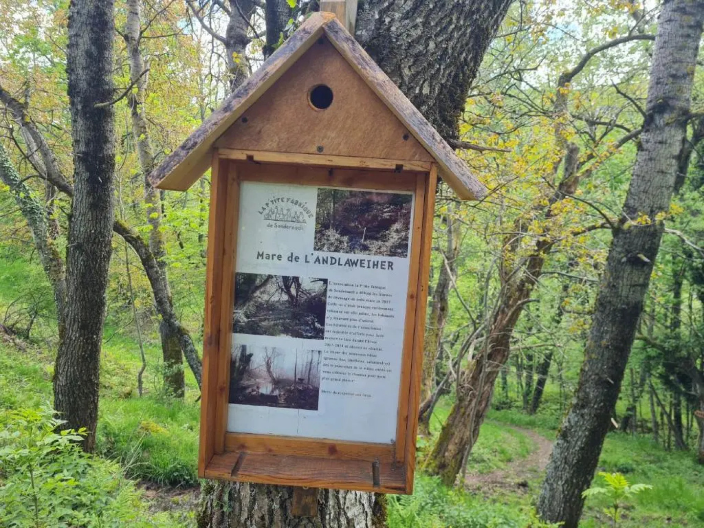 Spacieux et confortables gîtes à proximité randonnées, lacs, ski nature