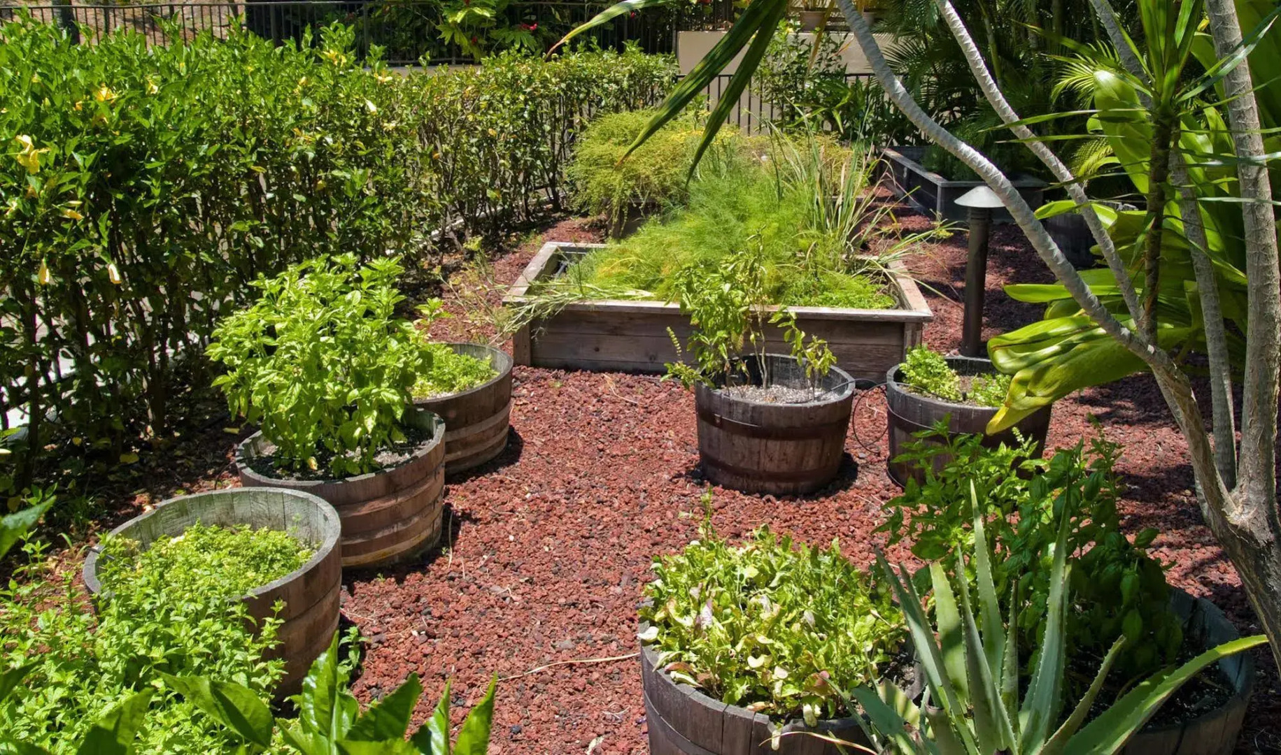 Polo Beach Club Vacation Rentals - APlus Resorts