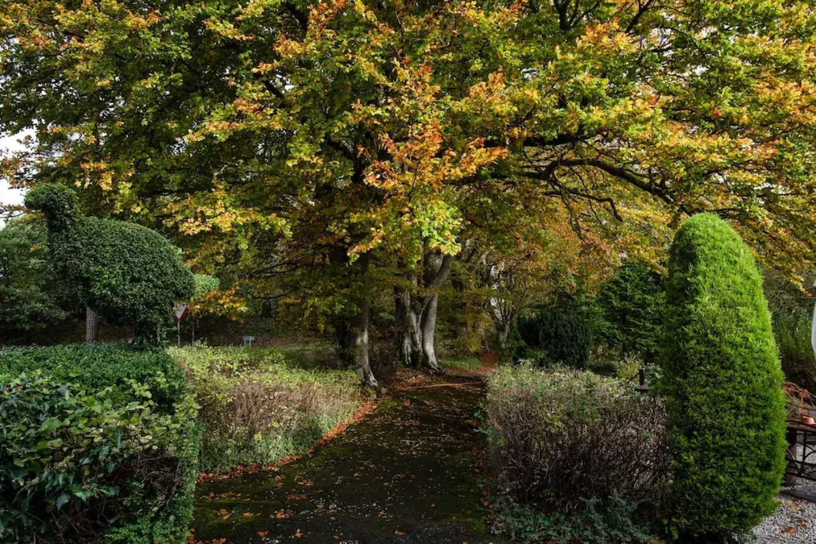 The Pheasant Inn - The Inn Collection Group