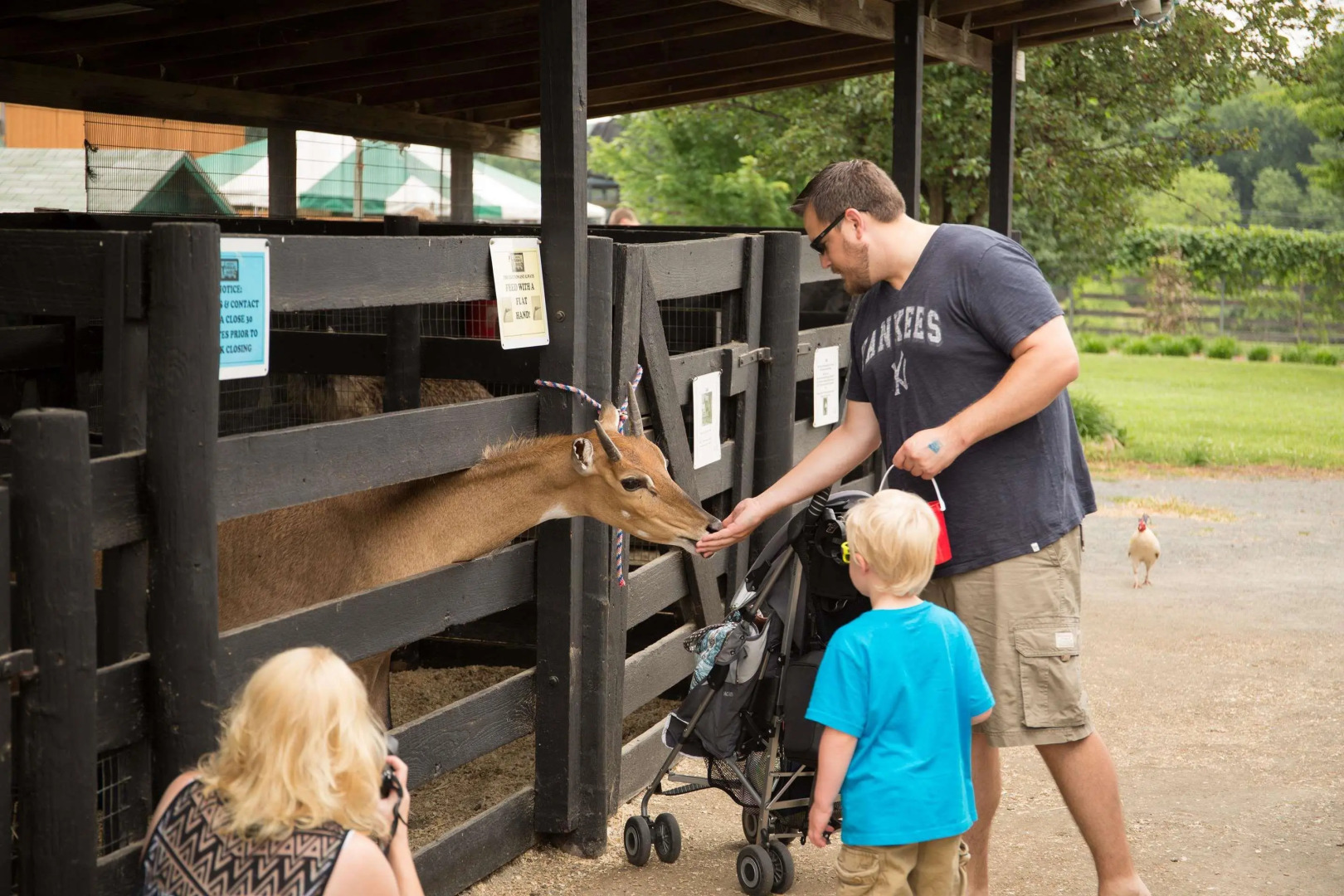 Best Western Leesburg Hotel & Conference Center