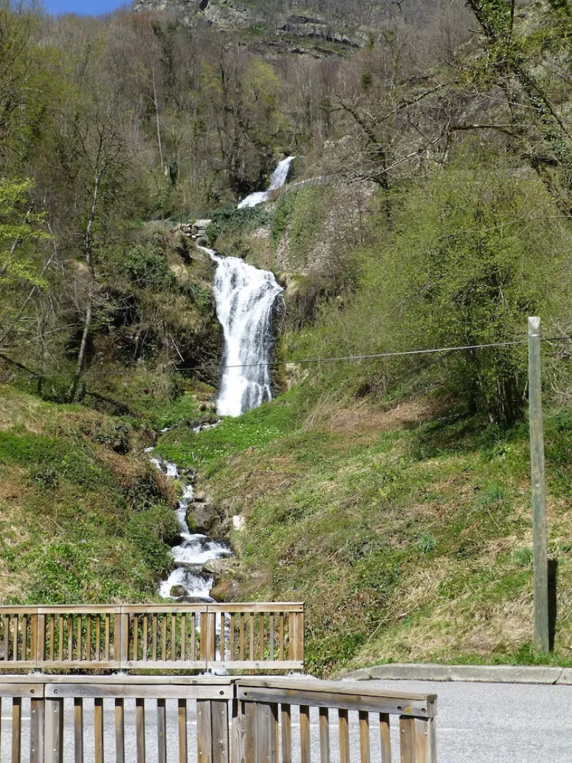 The Dreaming Tree B&B