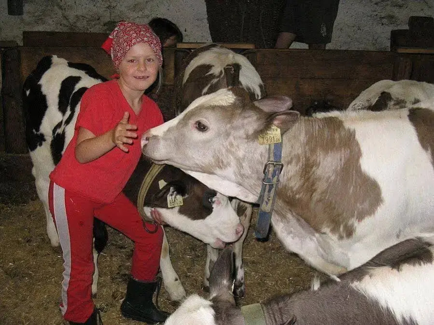 Apartments Obergraferhof