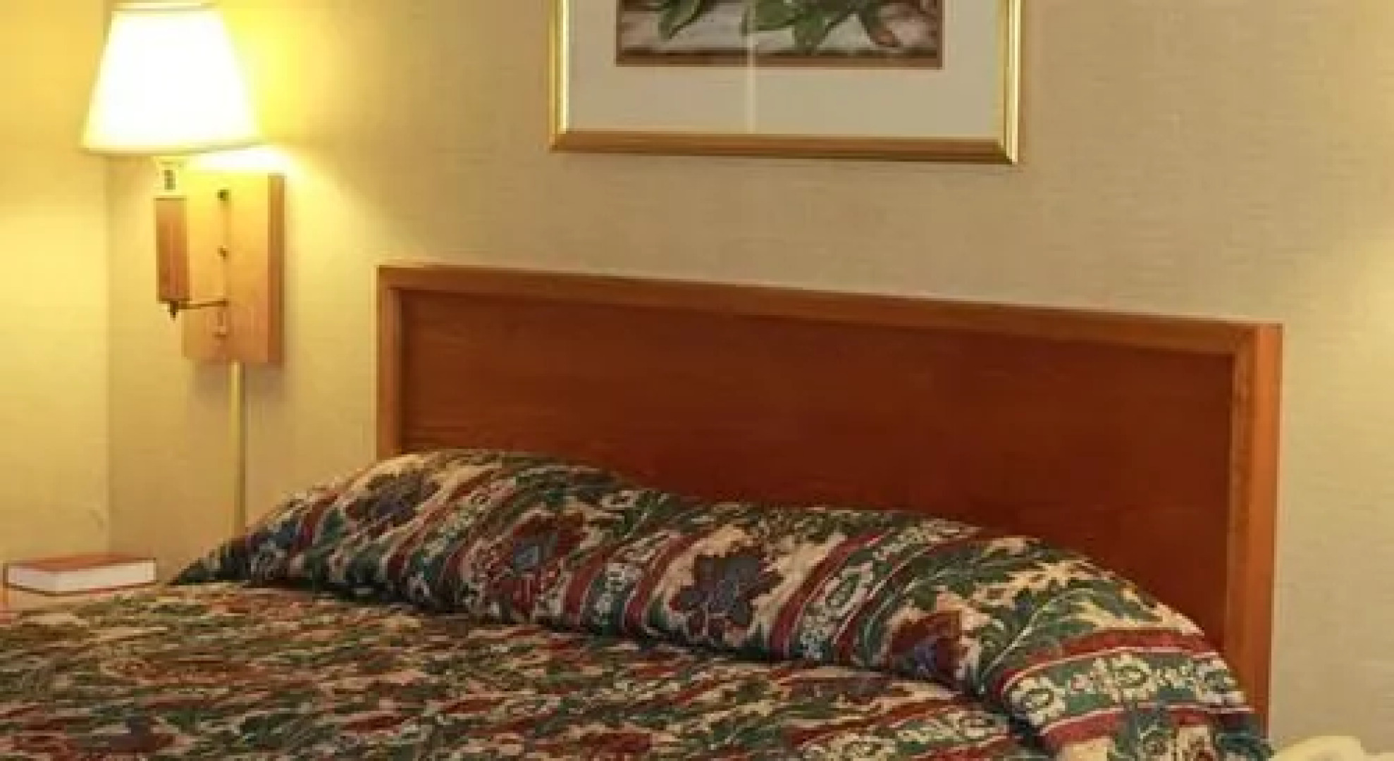 Palmetto Inn Florence