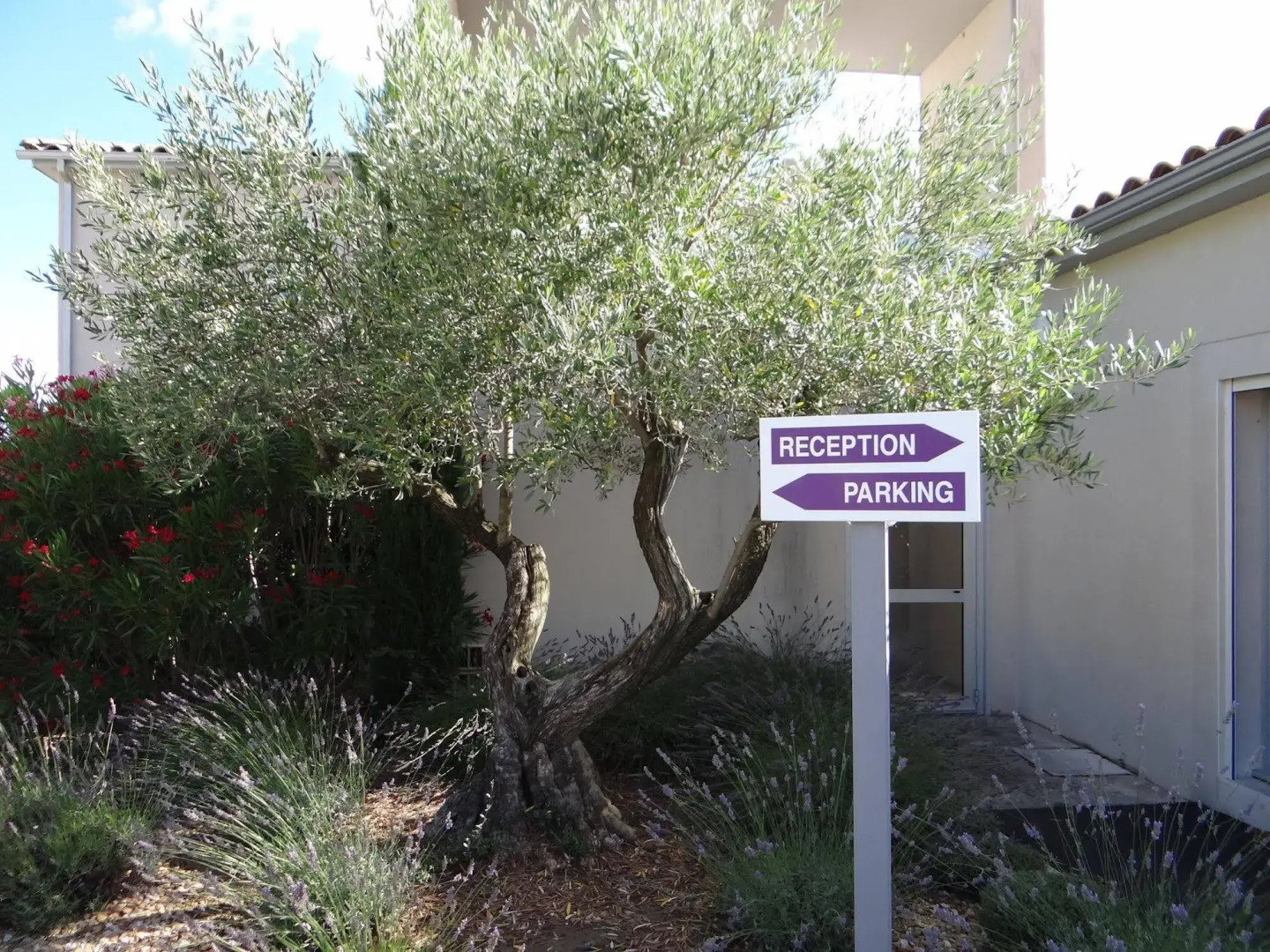 Hôtel Le Patio de Violette