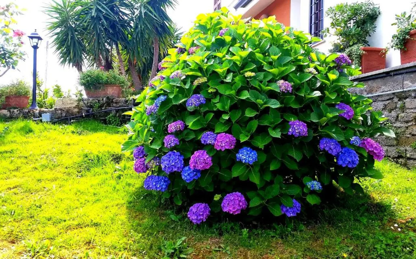 Residenza Colle Oliva