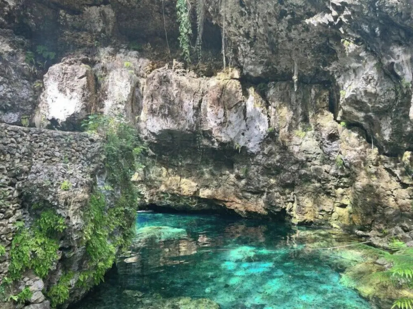 REFUGIO Sabaneta de Yásica