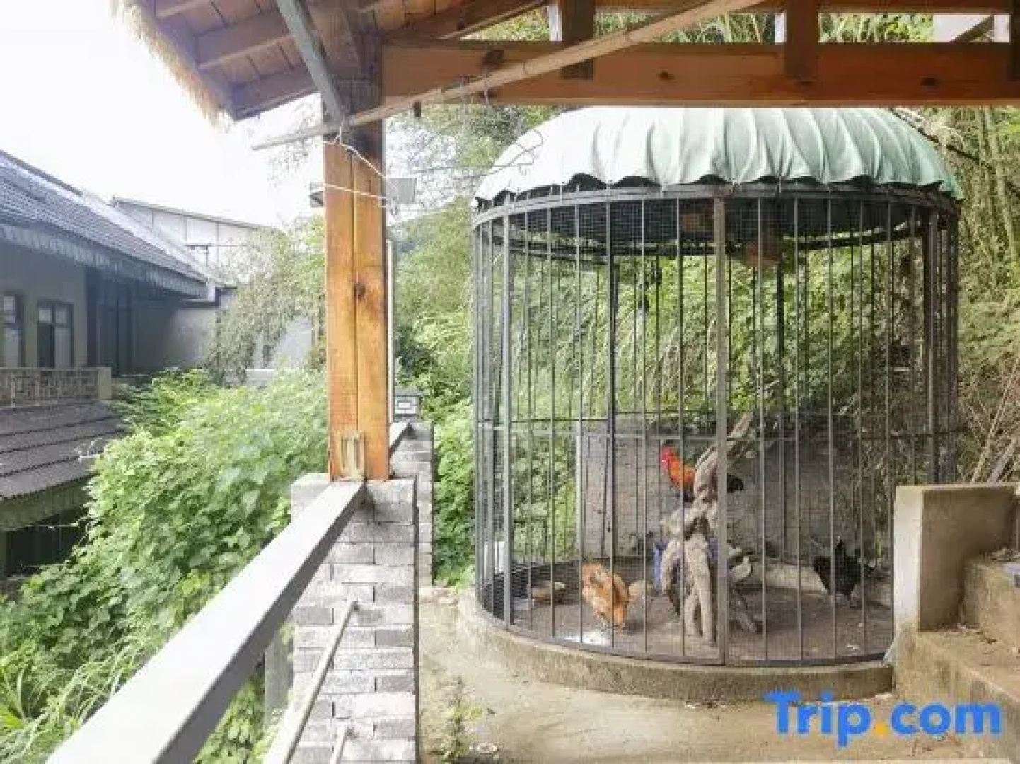 Yichun Xiyuan Linshe Homestay
