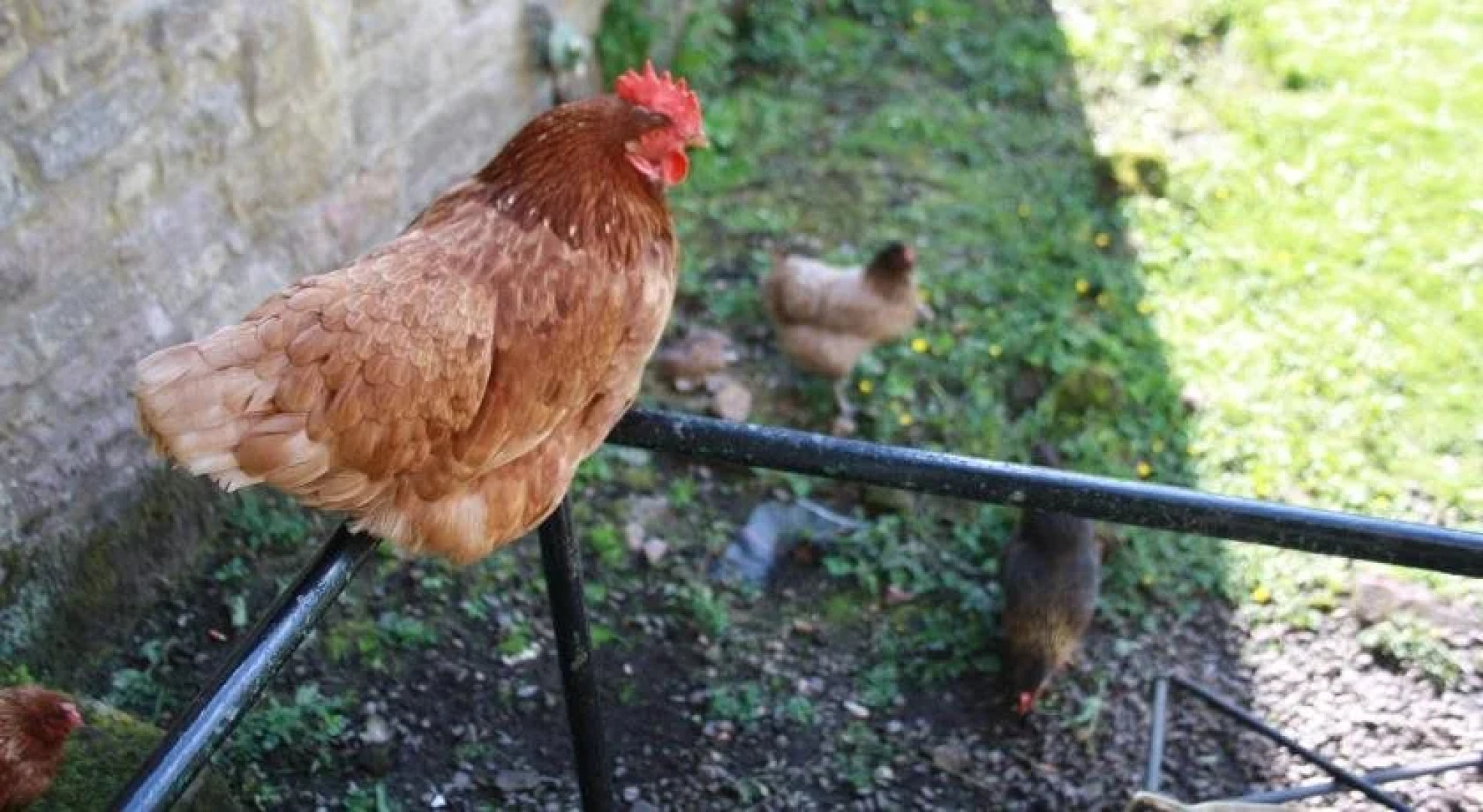 Chillingham Manor Luxury B&B