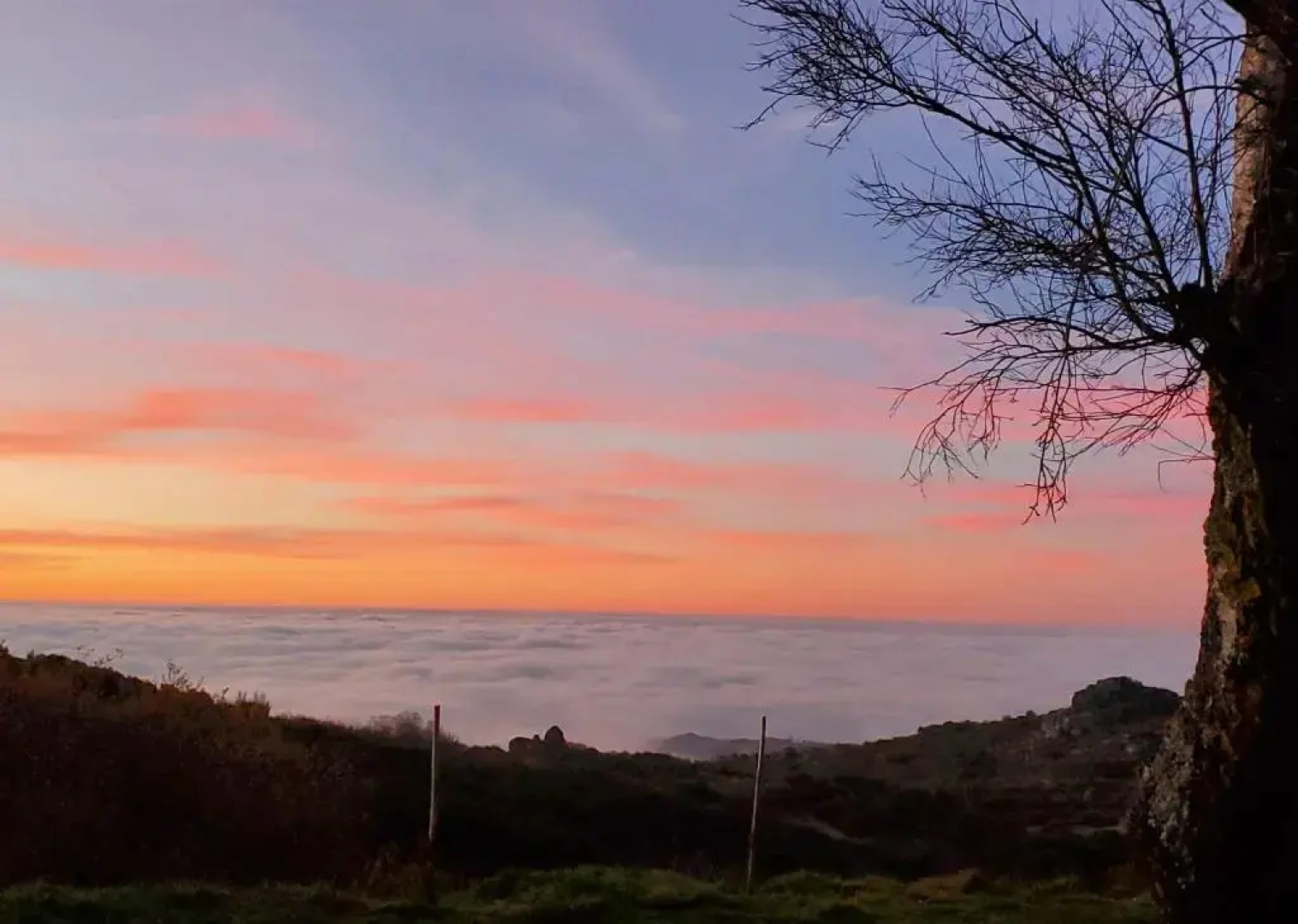 Beecaramulo-Apiturismo