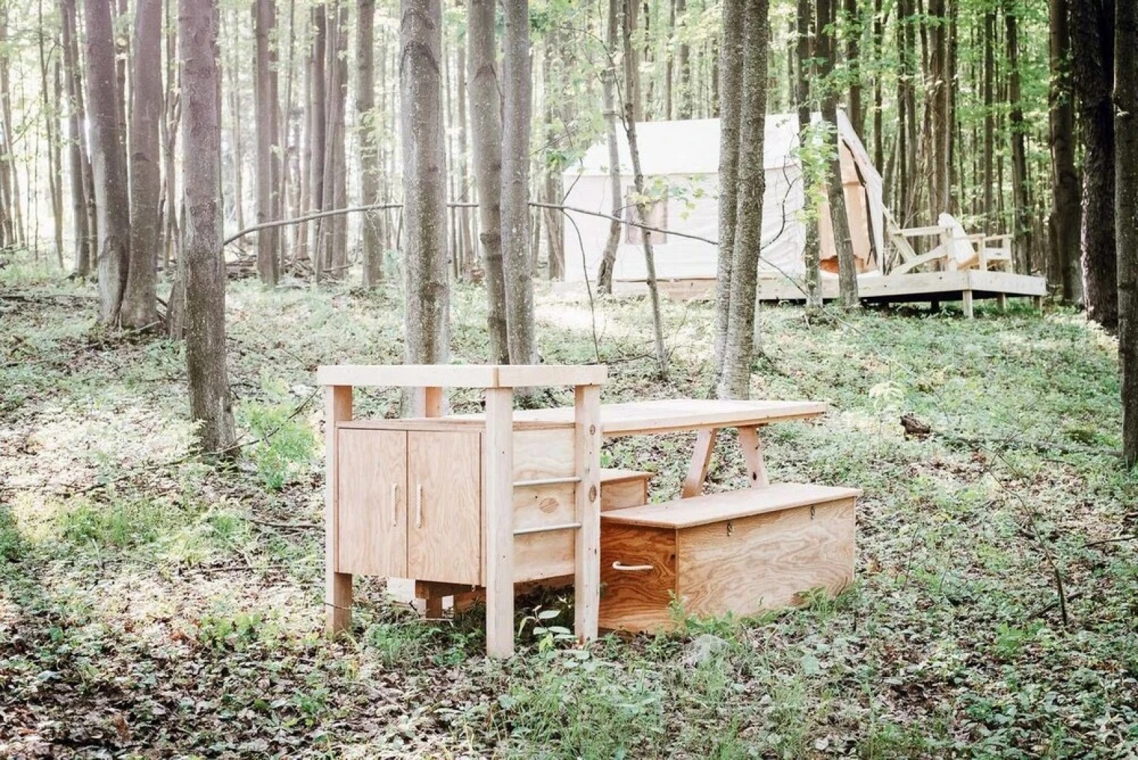 Tentrr â Hollow Tree Camp