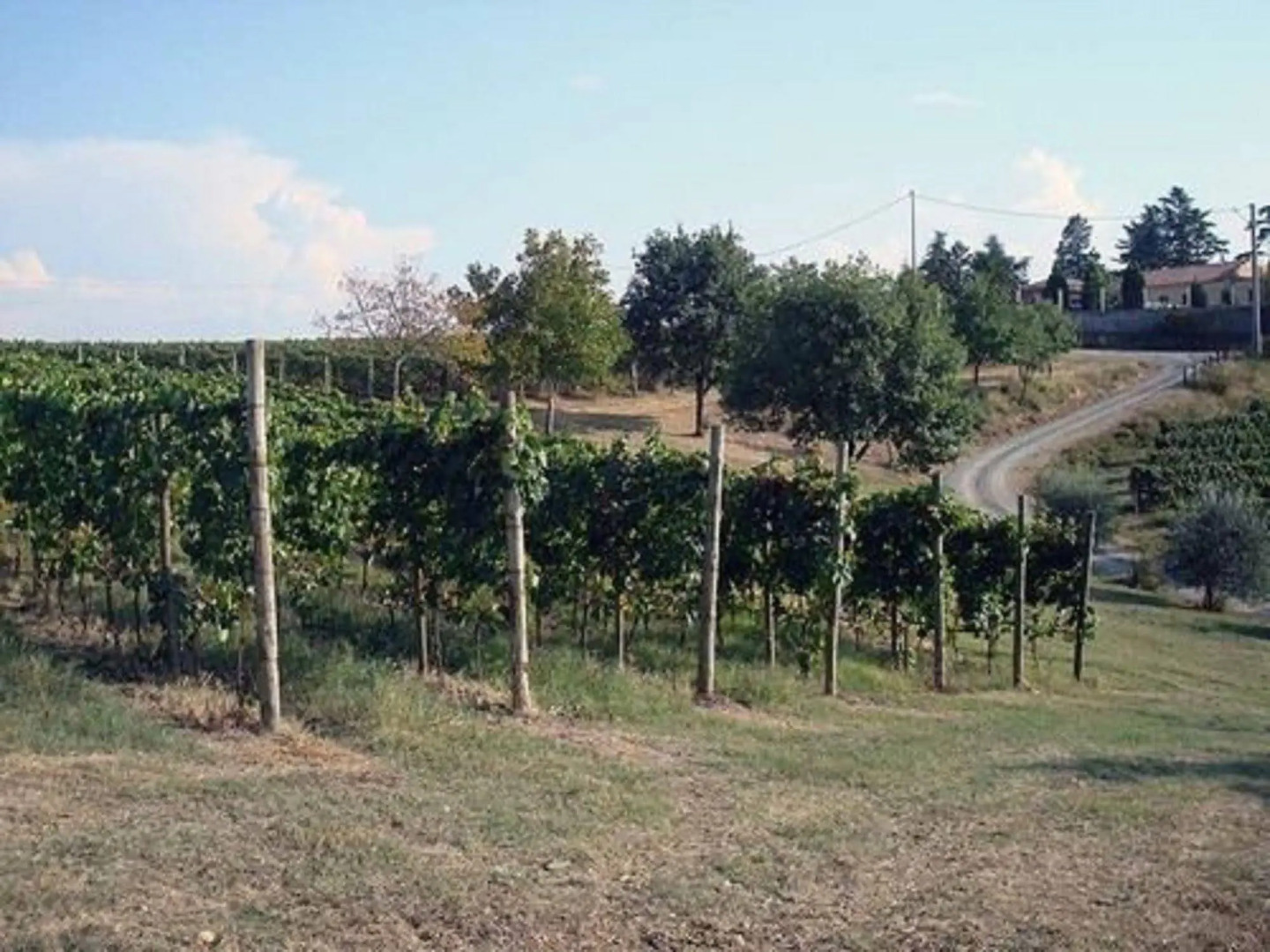 Agriturismo Costa dei Platani