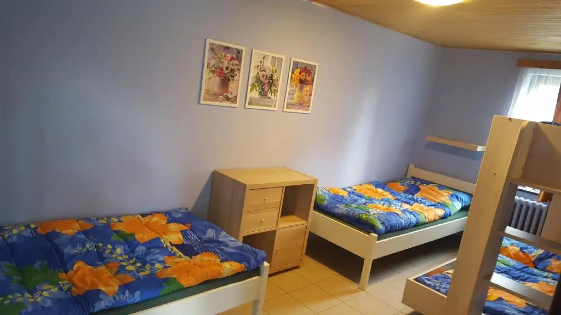 Juniorcamp Nová Živohošť