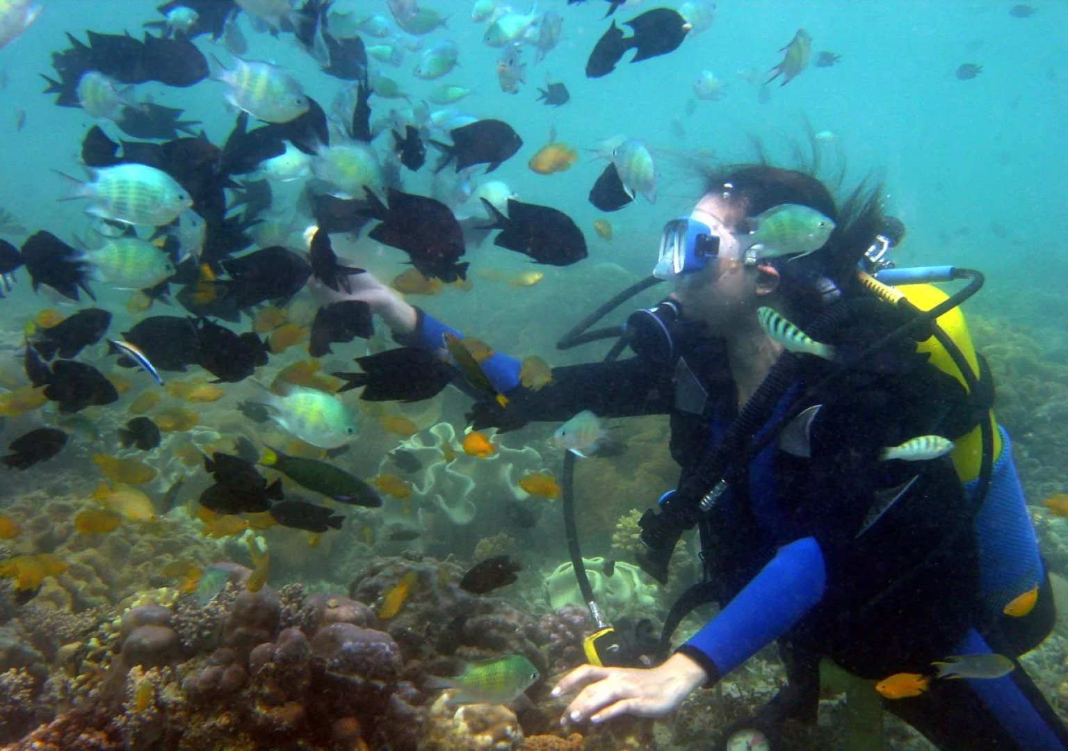 Paradise Island Park & Beach Resort