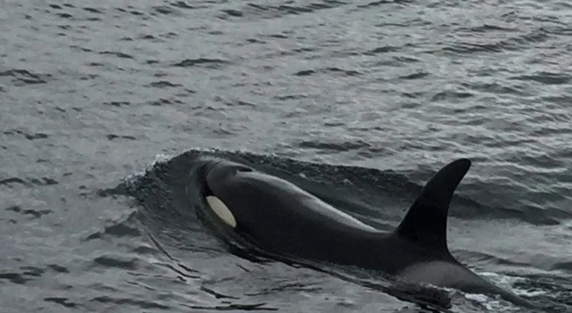 Breiview Guest House