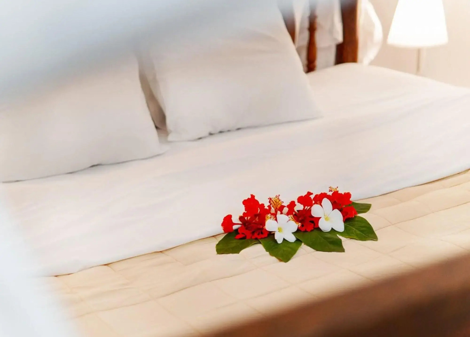 White Paradise Zanzibar