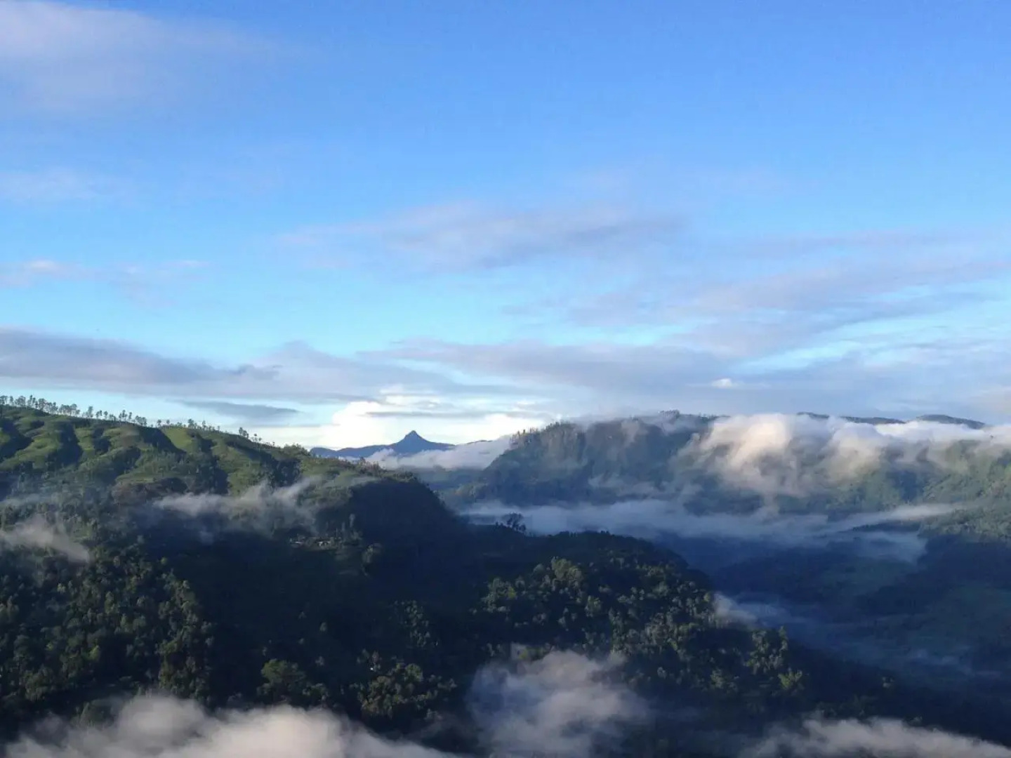 Singha Sanasa Luxury Homestay