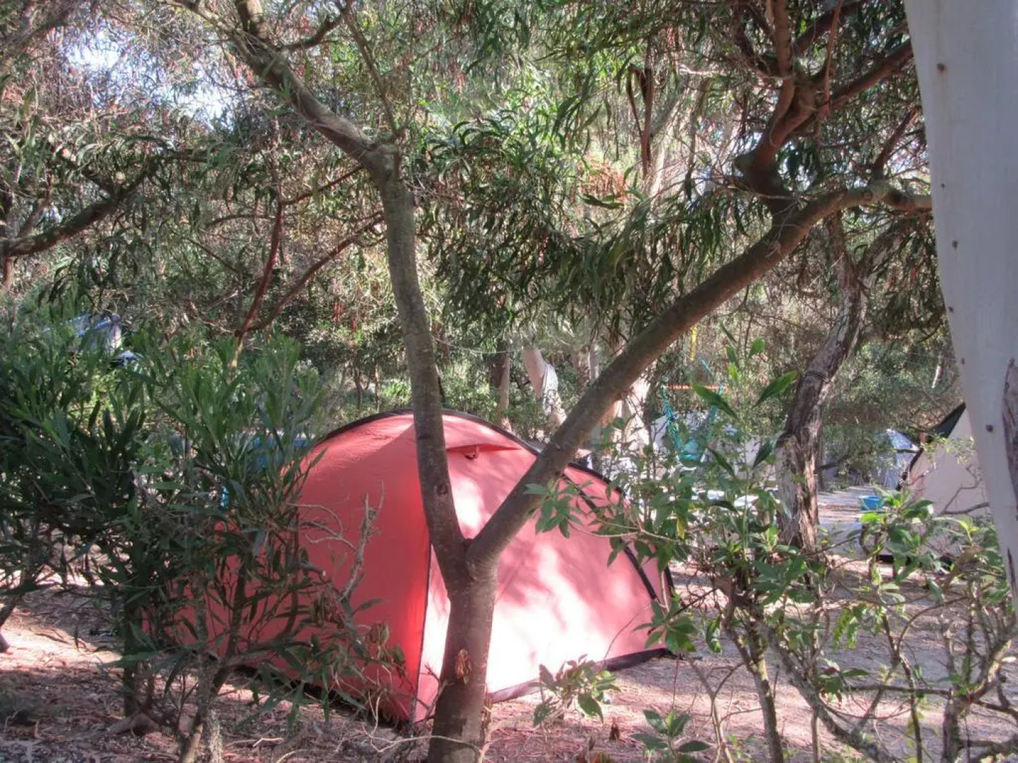 Camping Villa Park Zambujeira do Mar