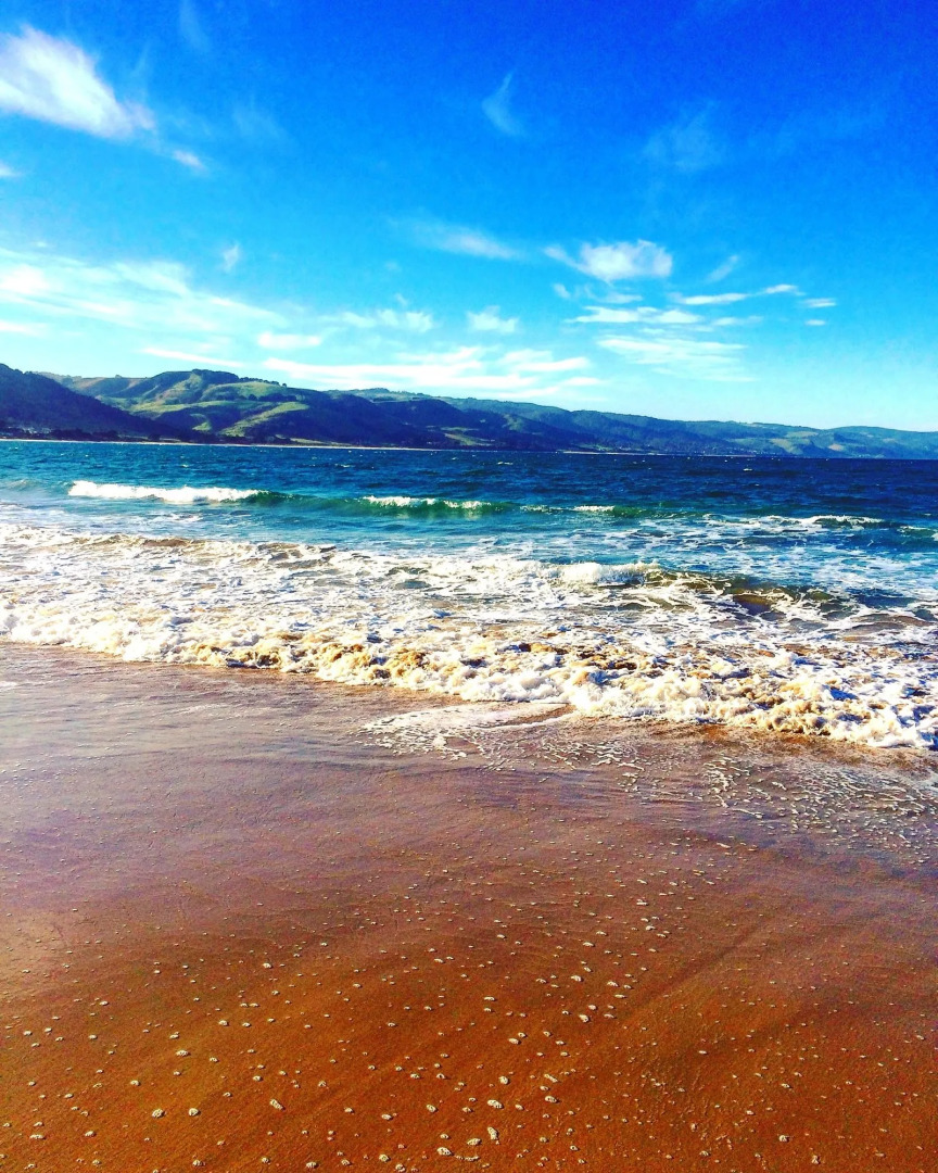 Rayville Boat Houses