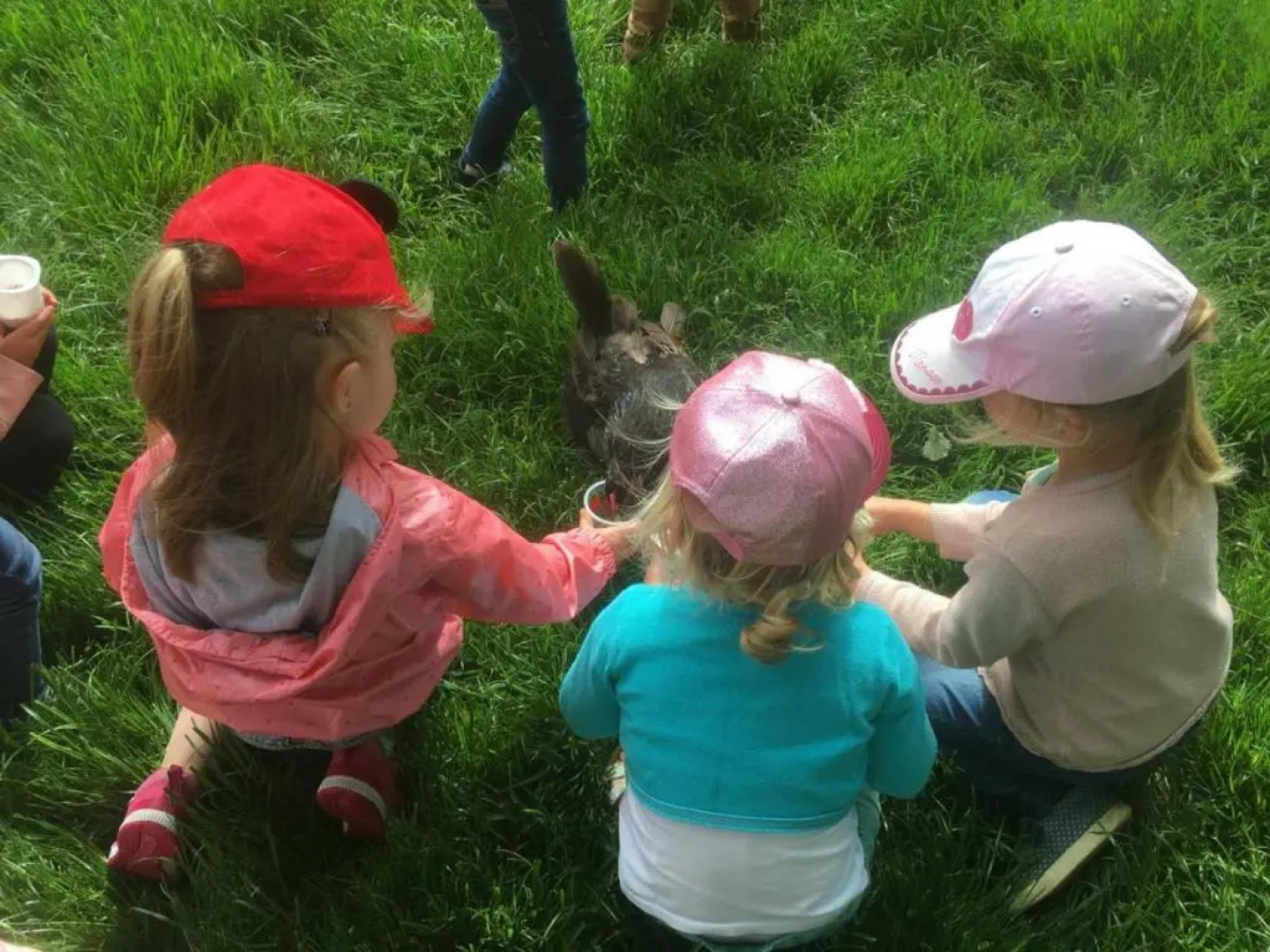 Gîte Belle-et-Houllefort, 5 pièces, 10 personnes - FR-1-376-82