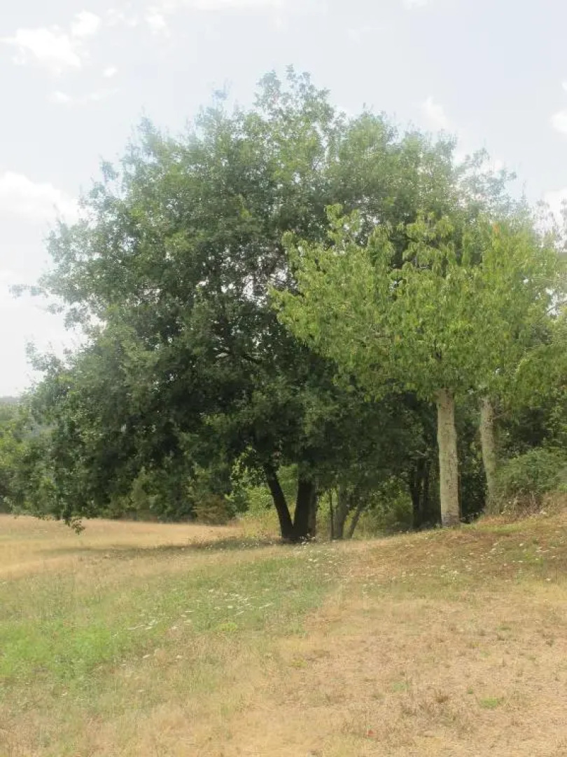 Mozzafiato Pitigliano