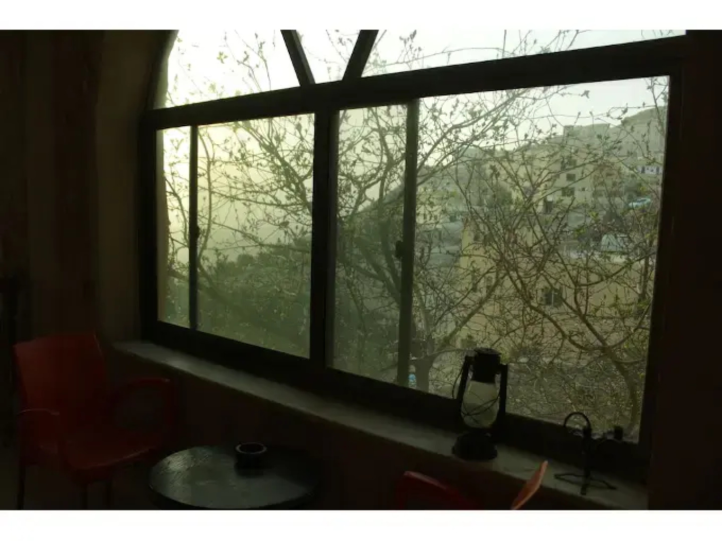 Oak Tree Castle Hostel