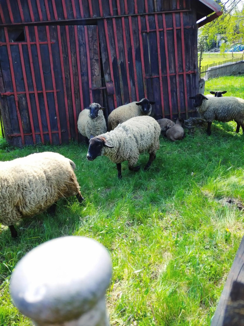 Penzion U Lucerny s malou farmičkou