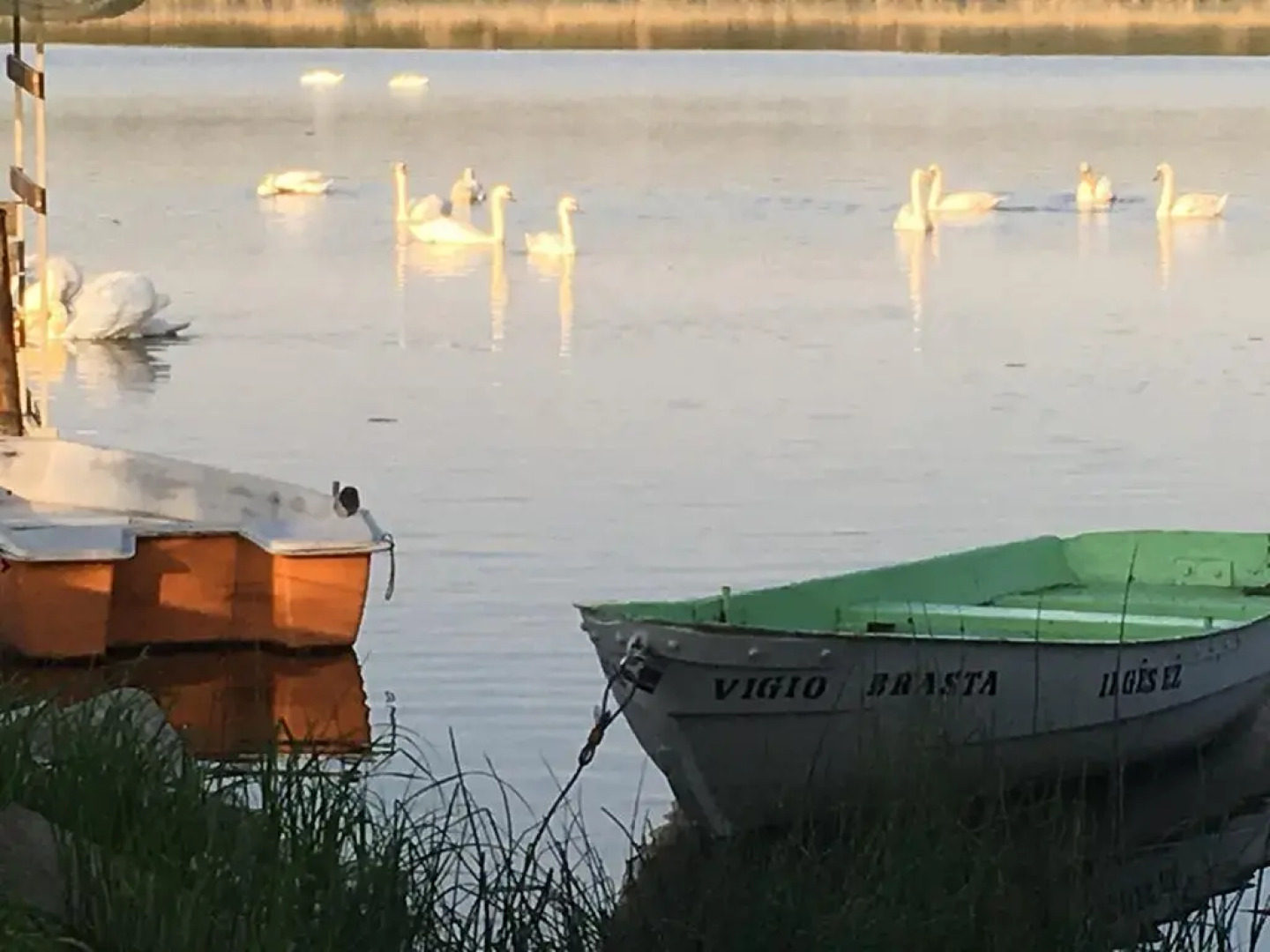 Vigio Brasta camping