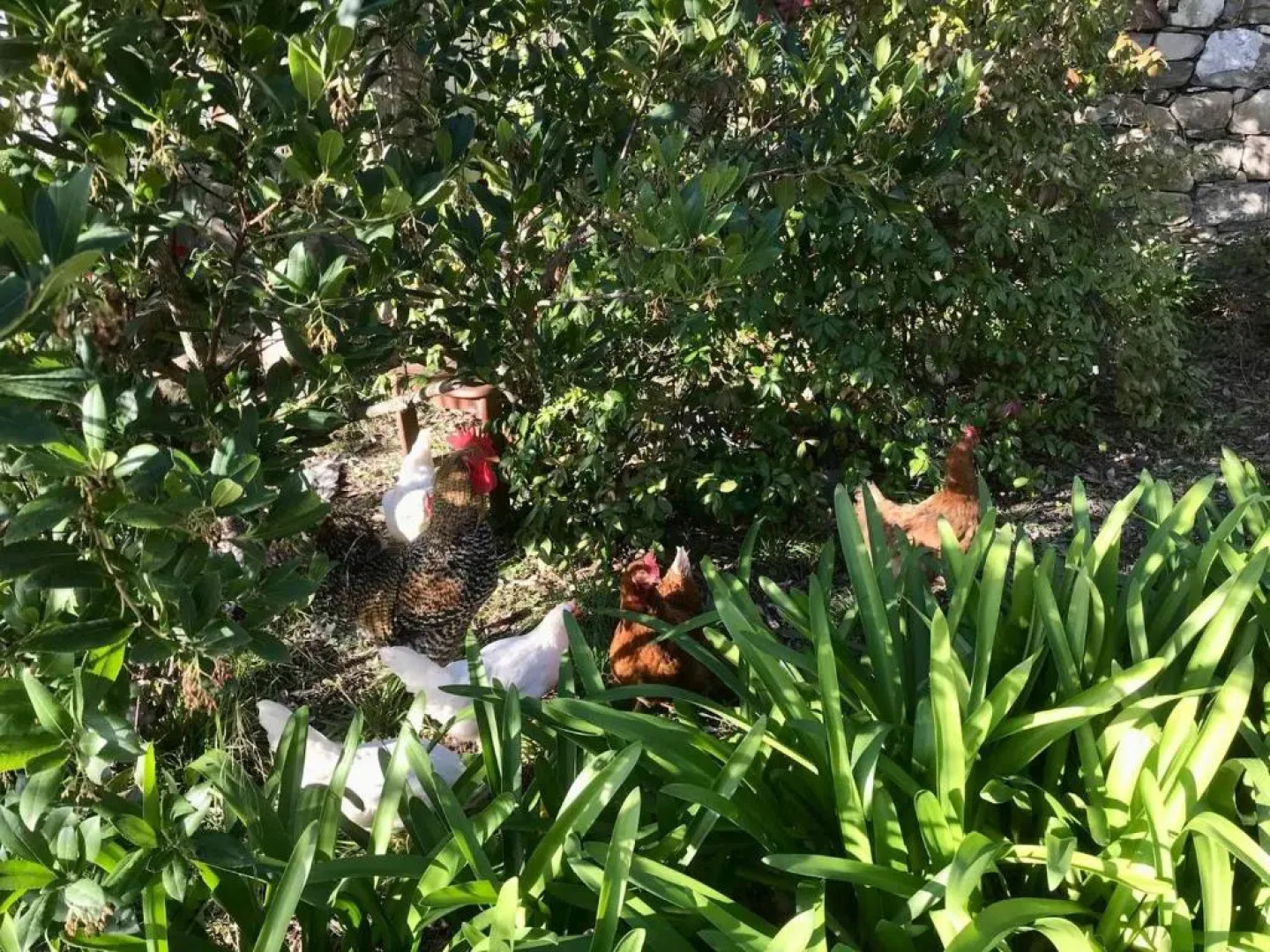 Via Molini 3 km zum Strand priv. Parkplatz