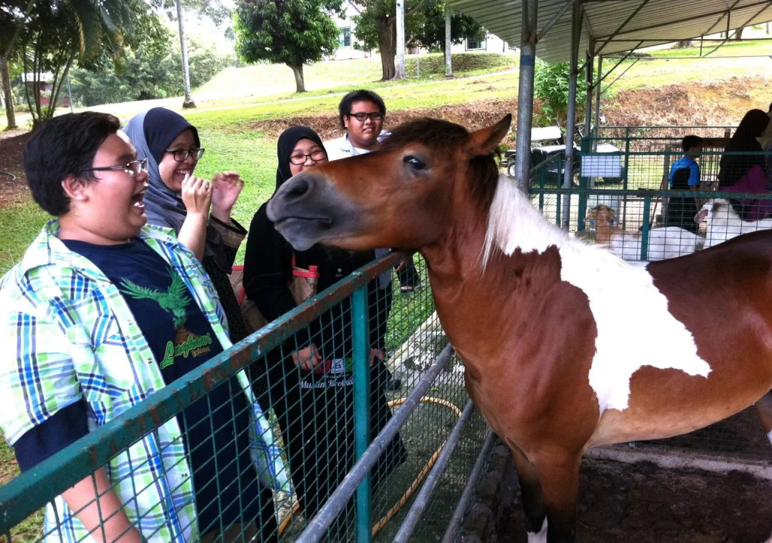 AgroFarmstay @ Skill-Tech