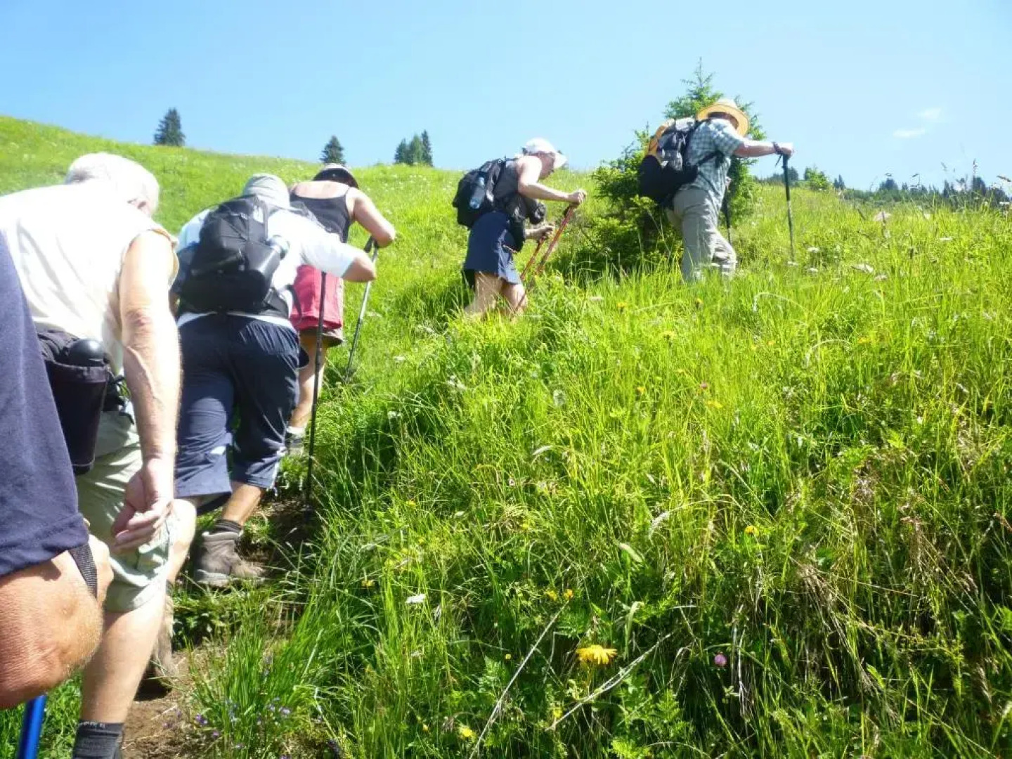 Wanderhotel Grüner Baum