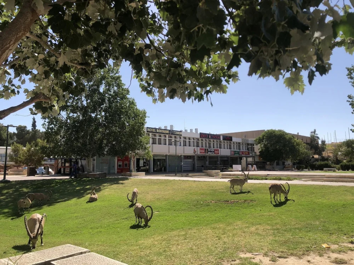 Boutique Hotel by Tzukim