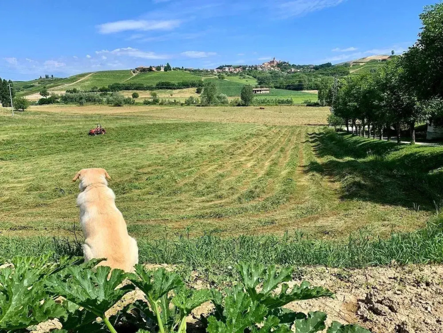 Agriturismo La Mussia