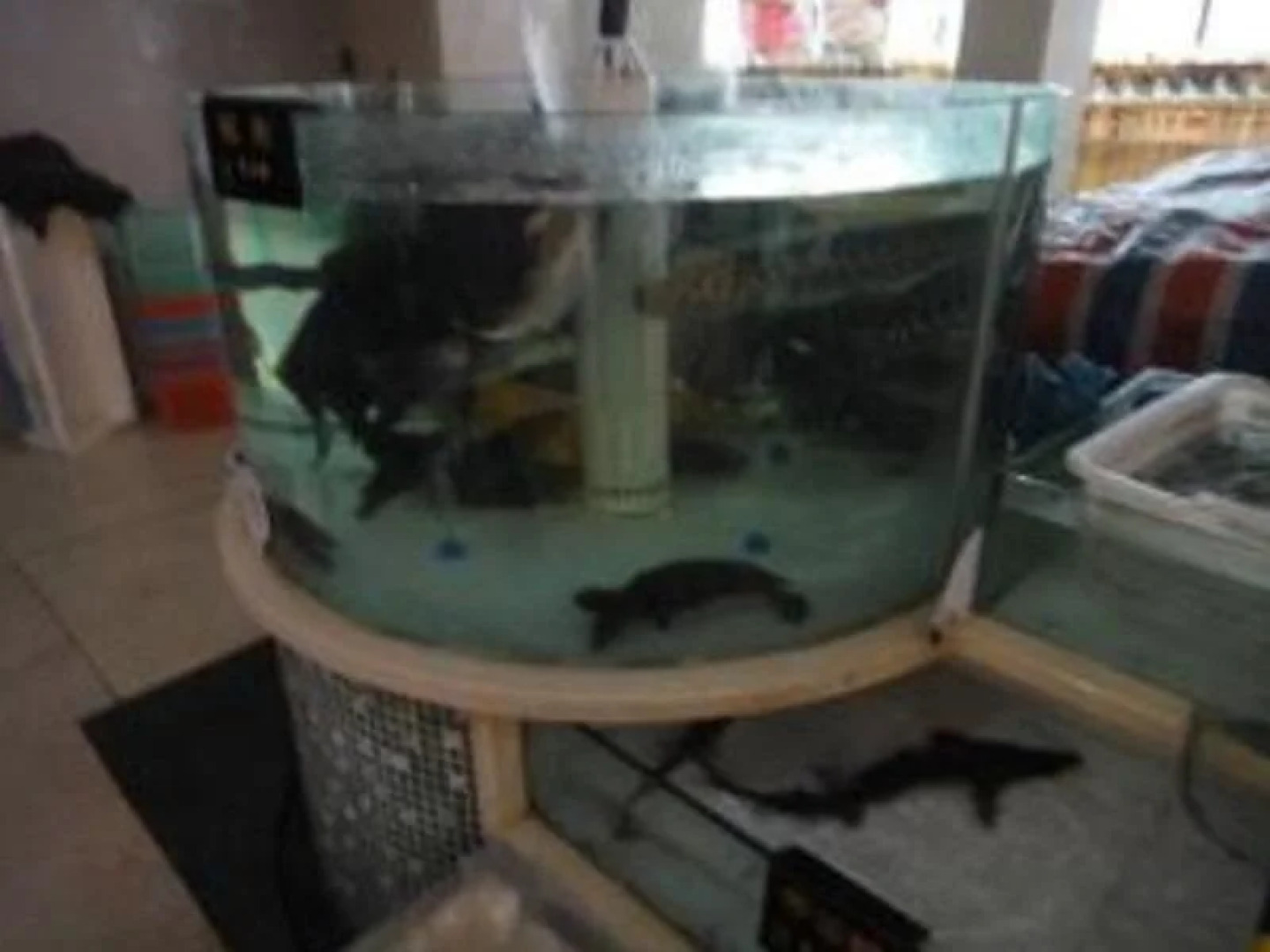 Wenzhou Tian Du Hotel