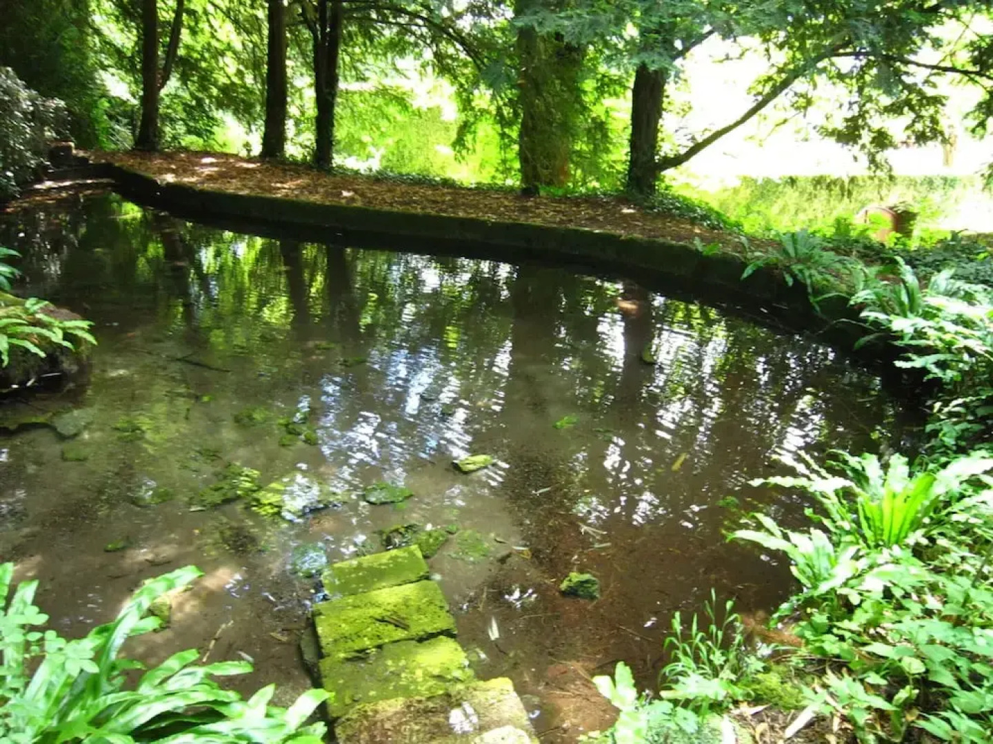 Apartment in Serrieres Near French Alps Skiing