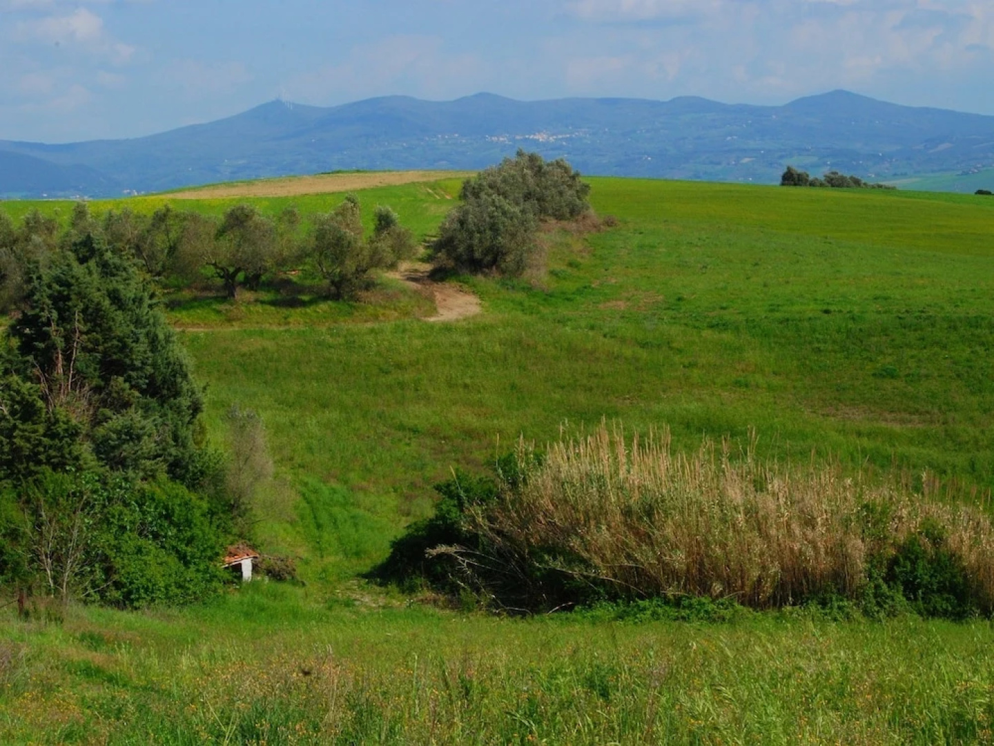Modern Holiday Home in Rosignano Marittimo Near Forest
