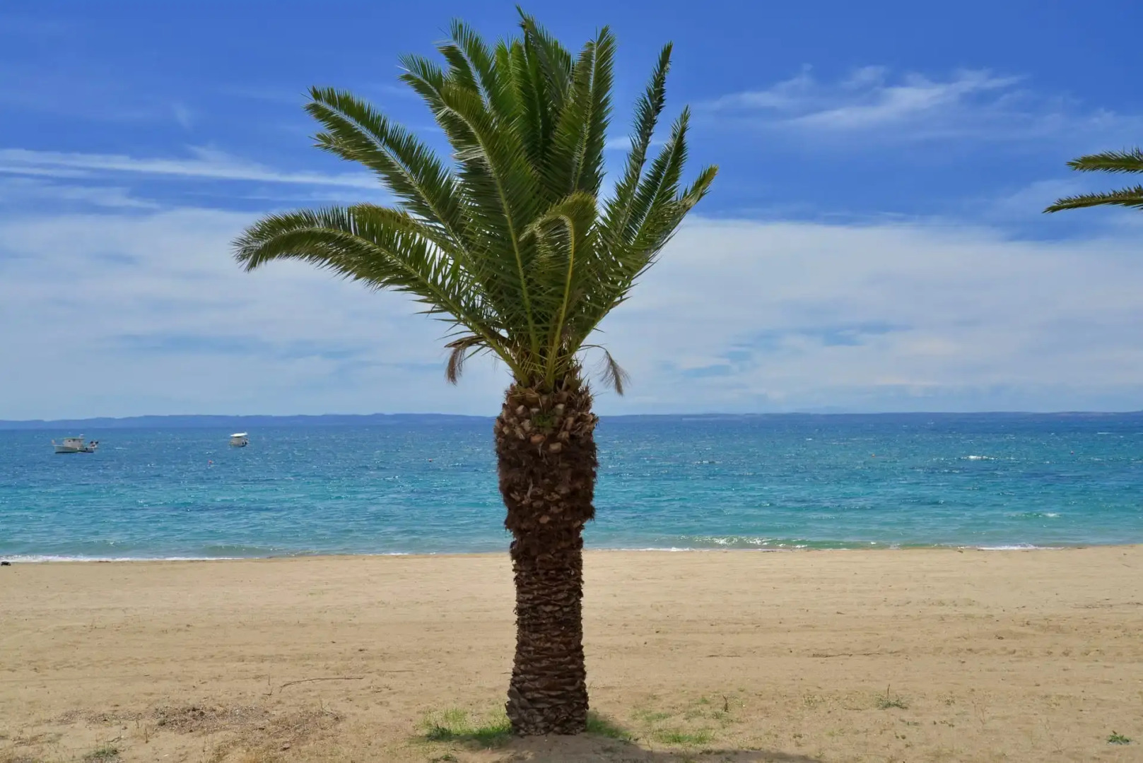 Olympion Beach Hotel