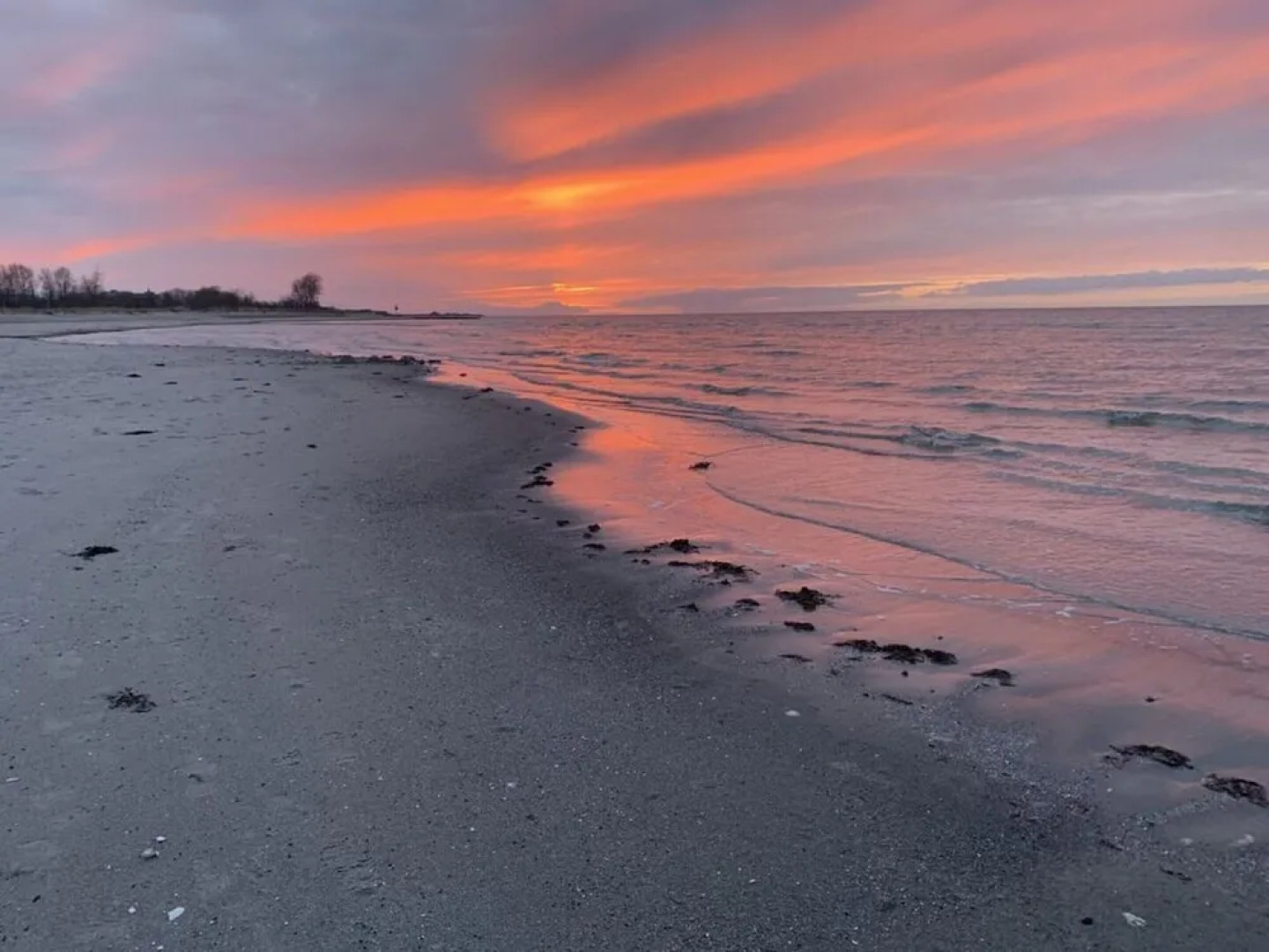 Holiday Apartment Strandgut 16.1