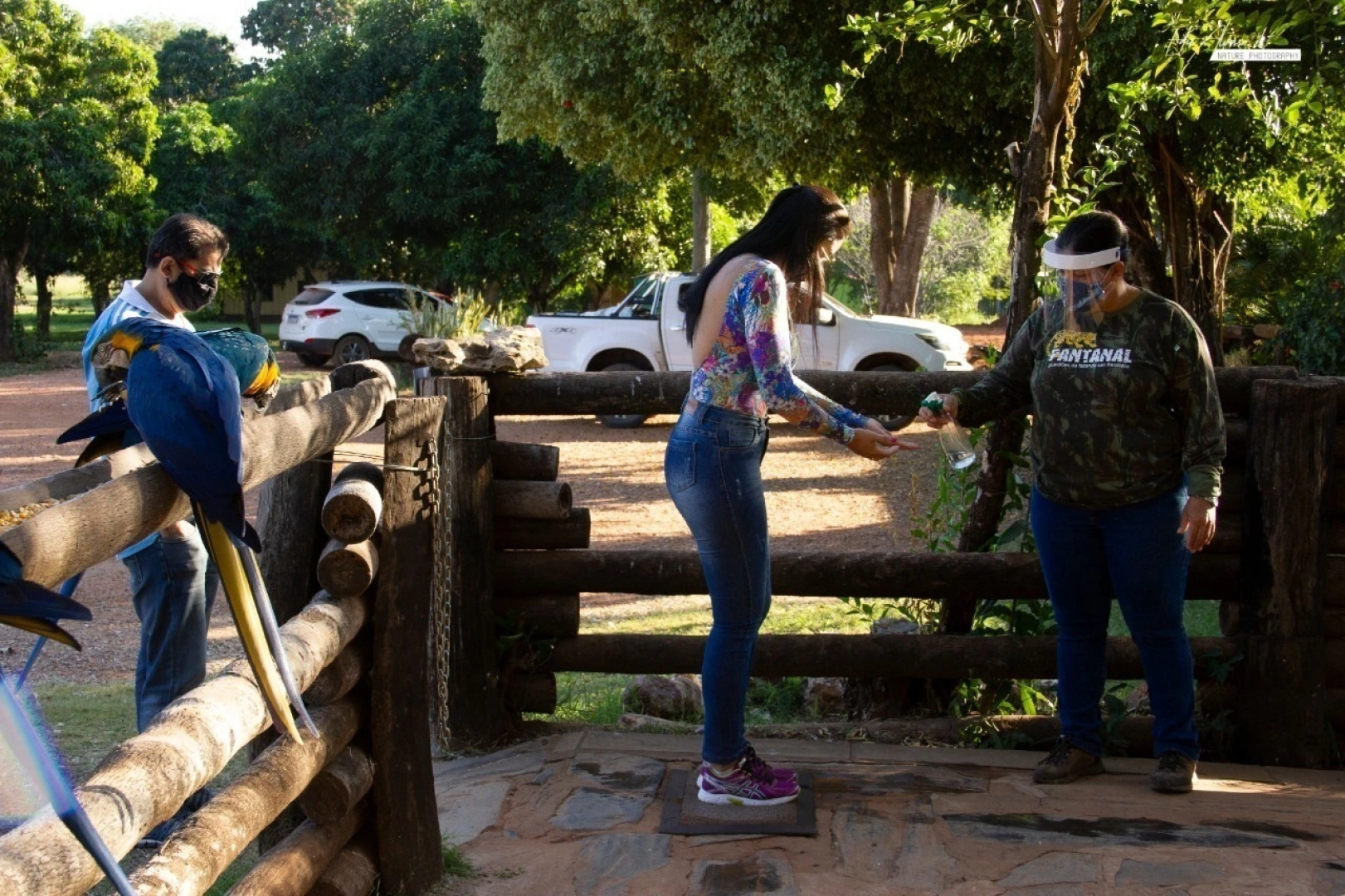 Fazenda San Francisco