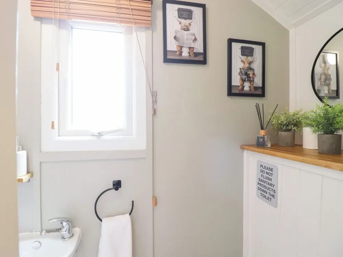 Red Kite at Wild Valley Huts