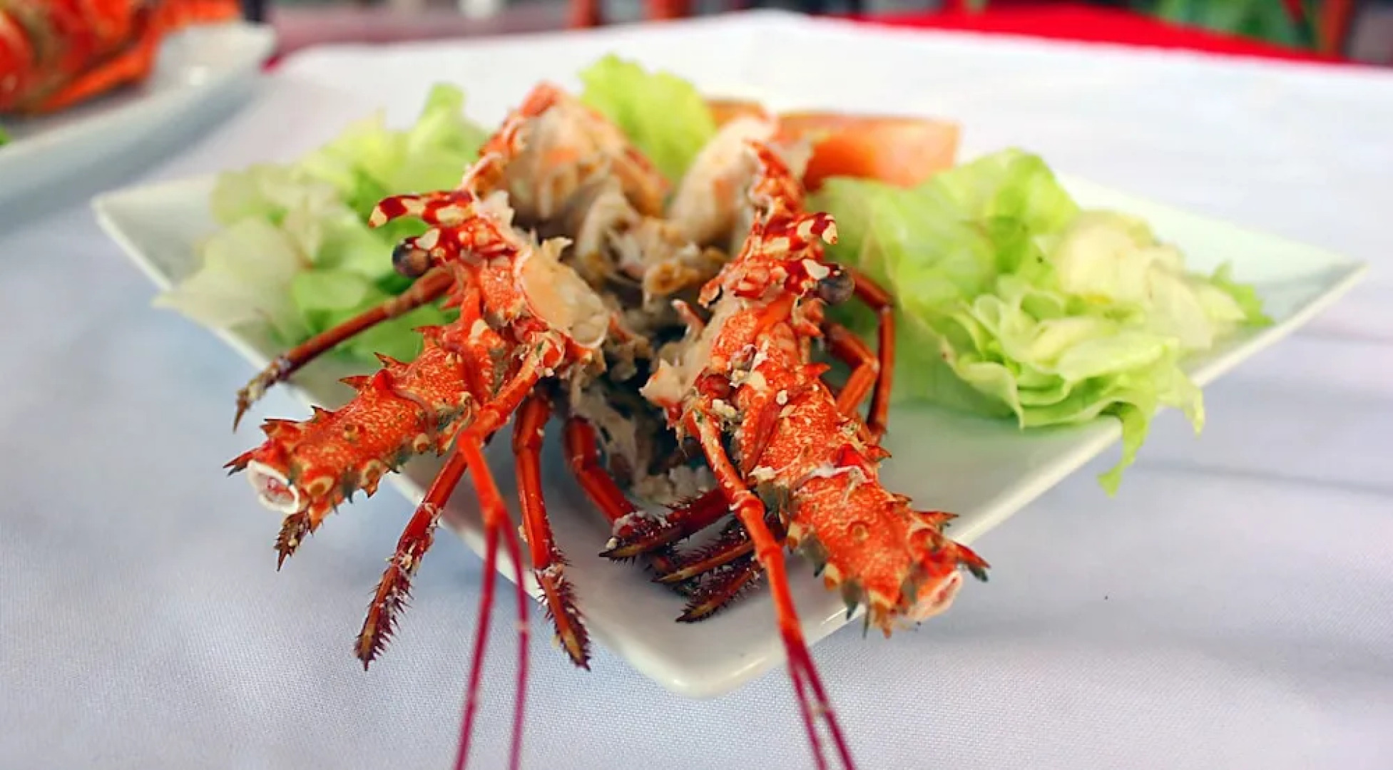 Aparta Hotel Azzurra