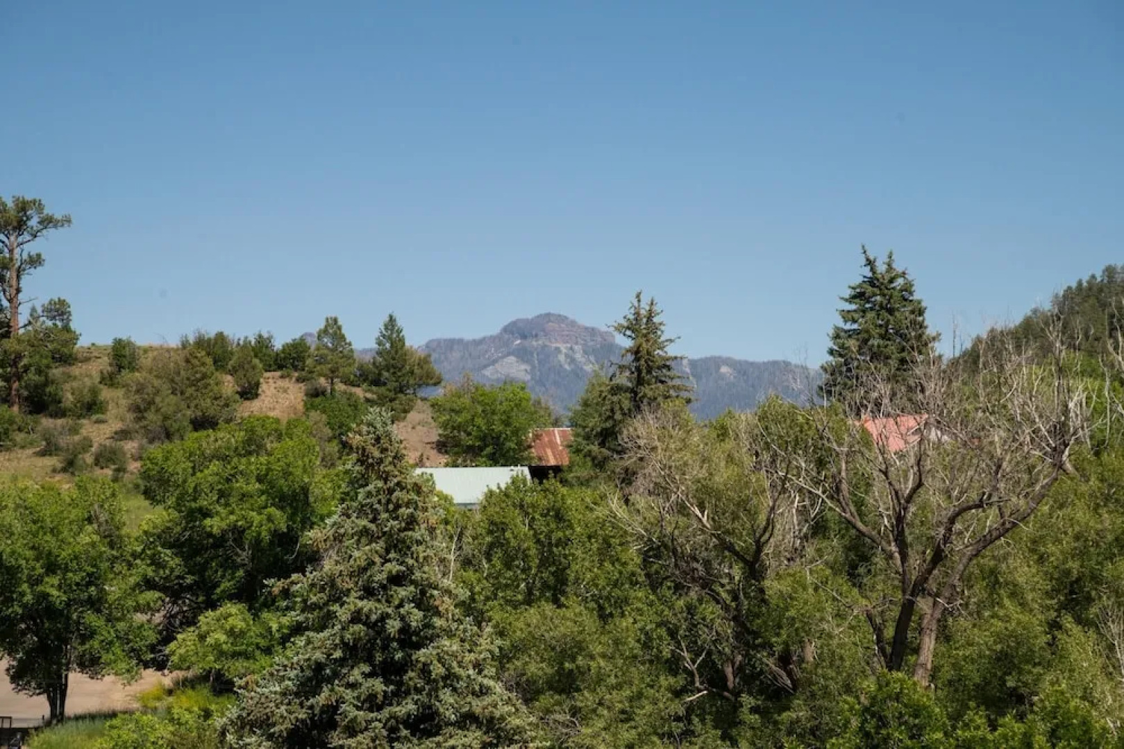 Pet Friendly Downtown Green Cabin Haven