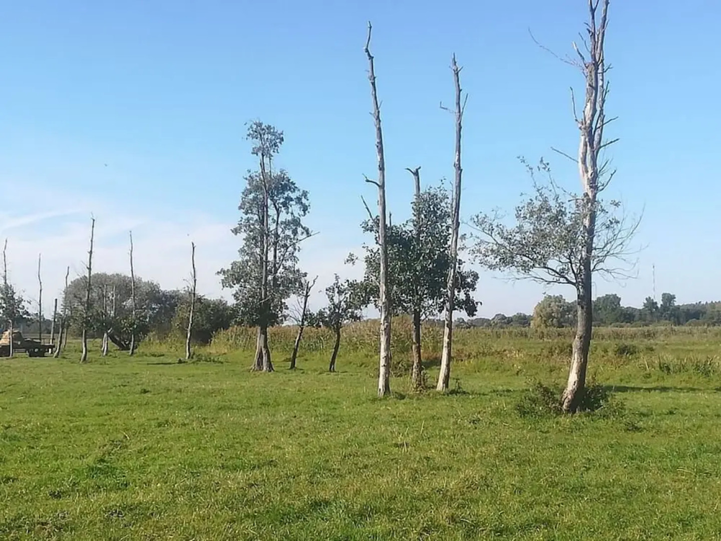 \"the Elf\" Comfortable Holiday Residence