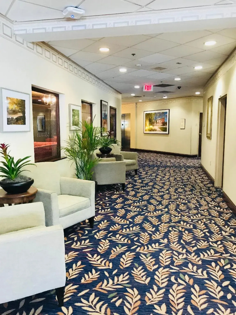 Graduate by Hilton Storrs