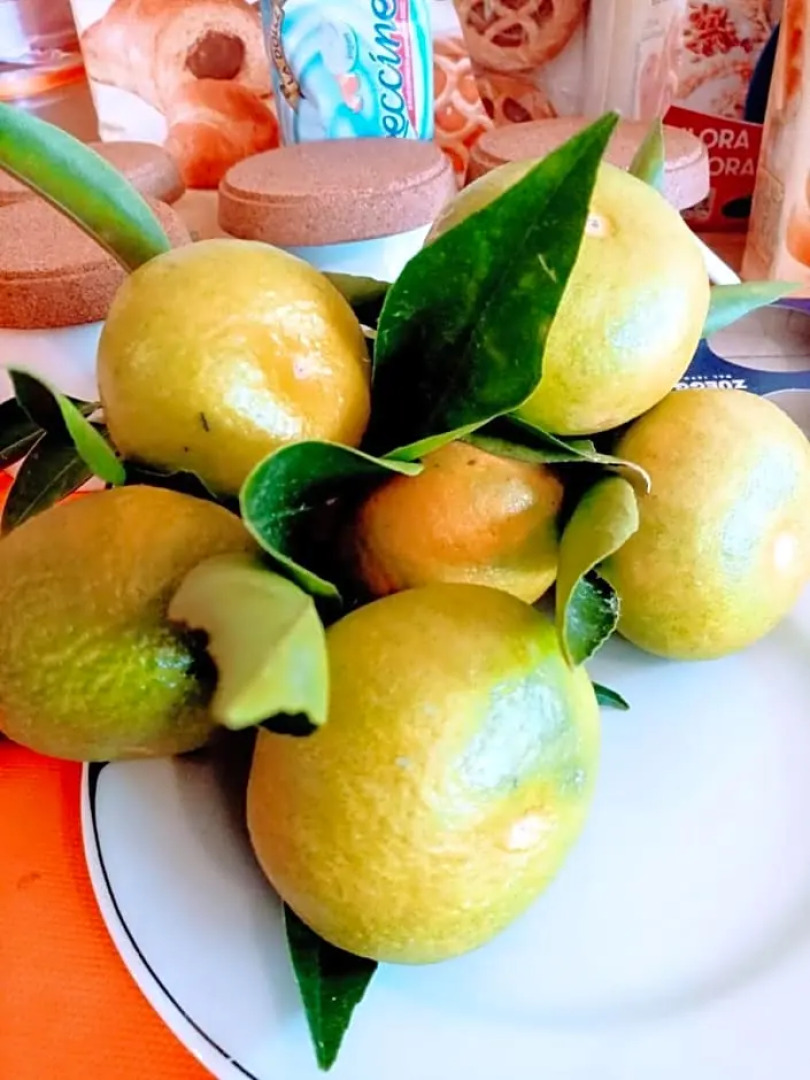 B&B Villa Sant'Antonio