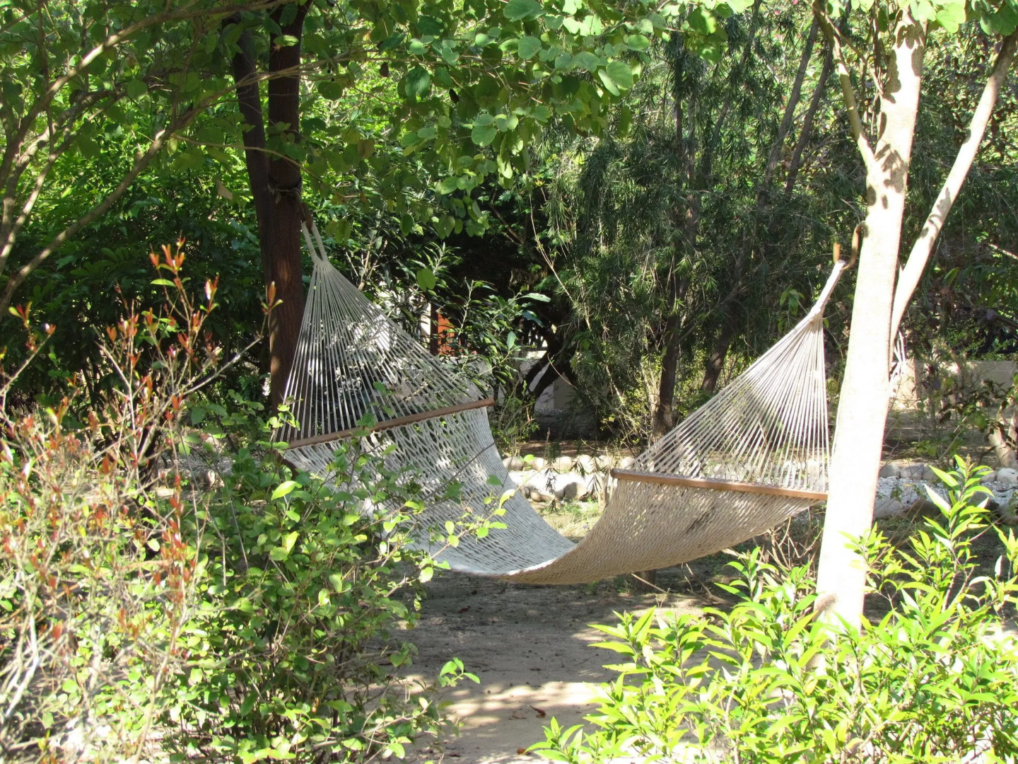 Jim's Jungle Retreat