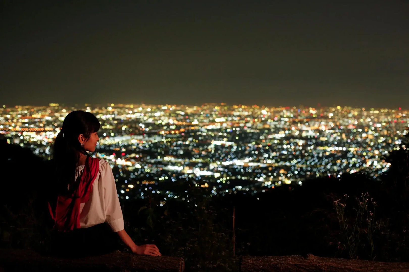 Shigisan Kanko Hotel